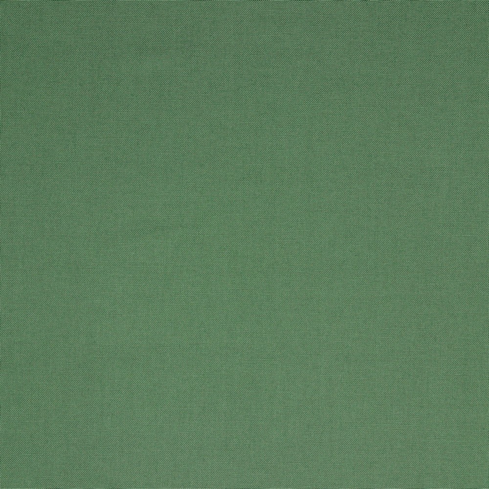 Canvas | Baumwolle | Uni | pickle