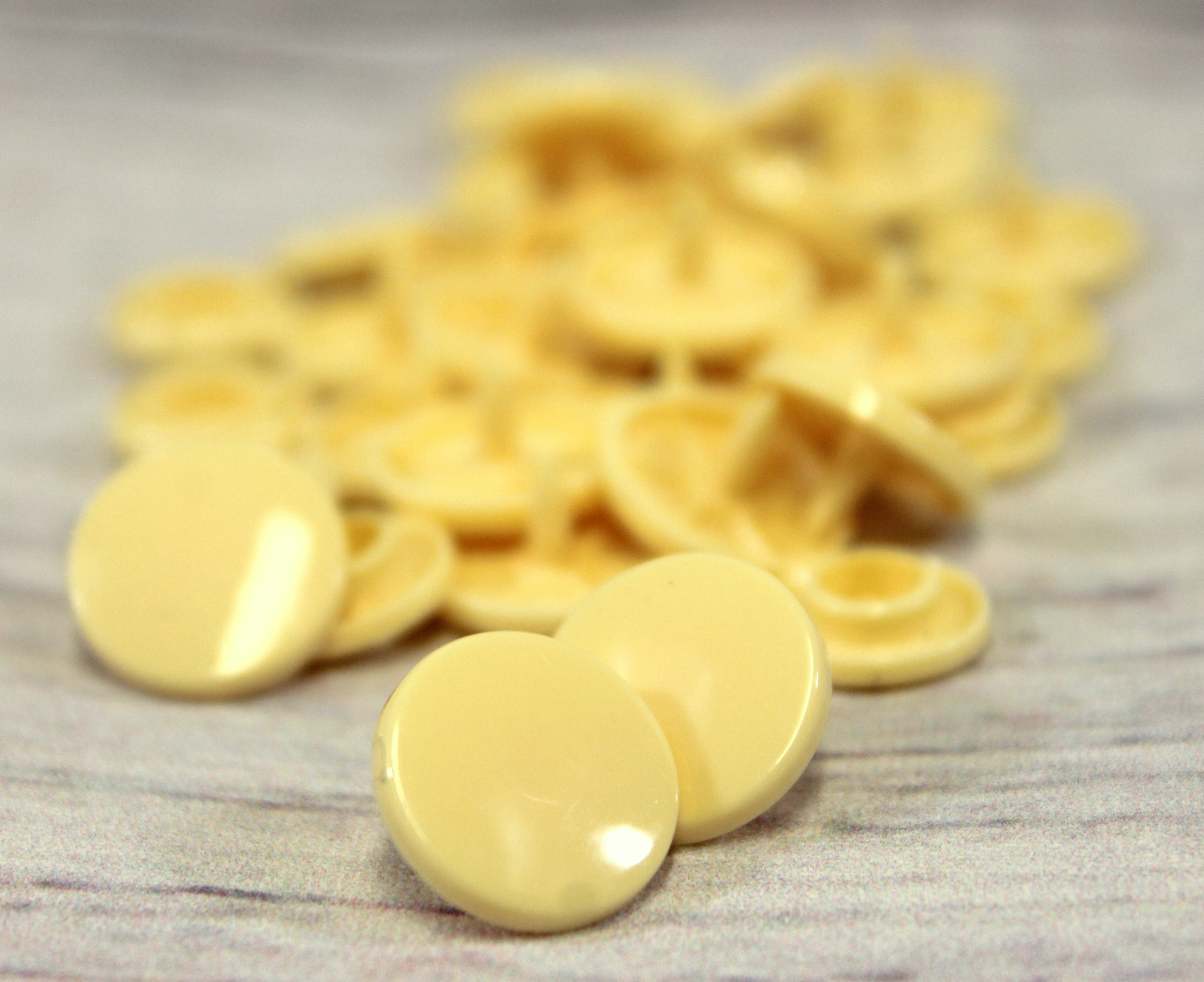 Snap | T8 | 20st | glänzend | B53 | champagner