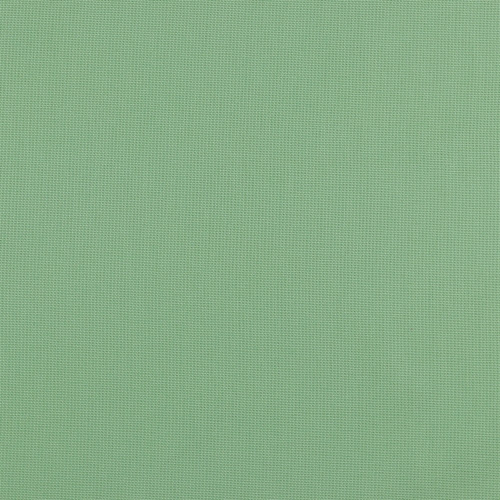 Canvas | Baumwolle | Uni | mint