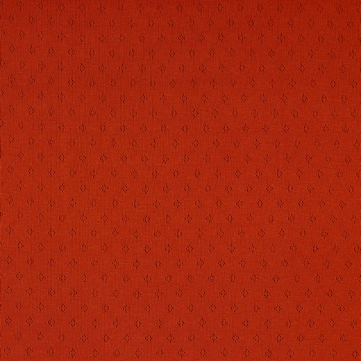 Feinstrickjersey | POINTOILLE | uni | rost