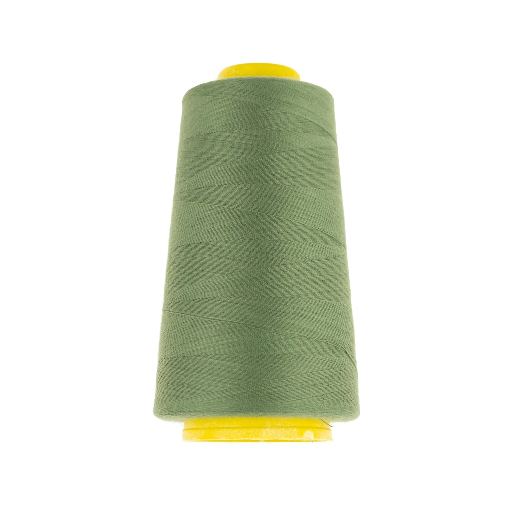 Nähgarn/Overlockgarn | alt grün | 182399
